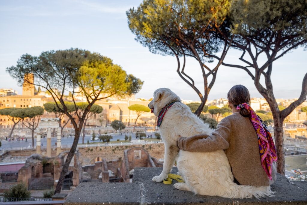 Viaggiare con il cane: le località pet friendly in Europa